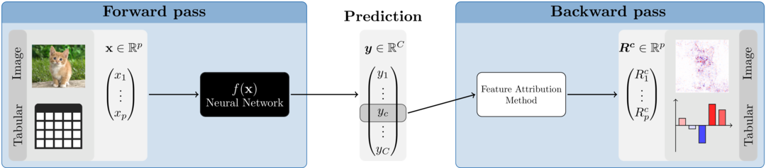 **Figure 1:** Feature attribution methods