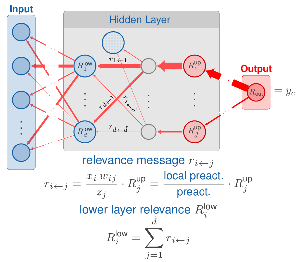 **Fig. 6:** Layerwise Relevance Propagation